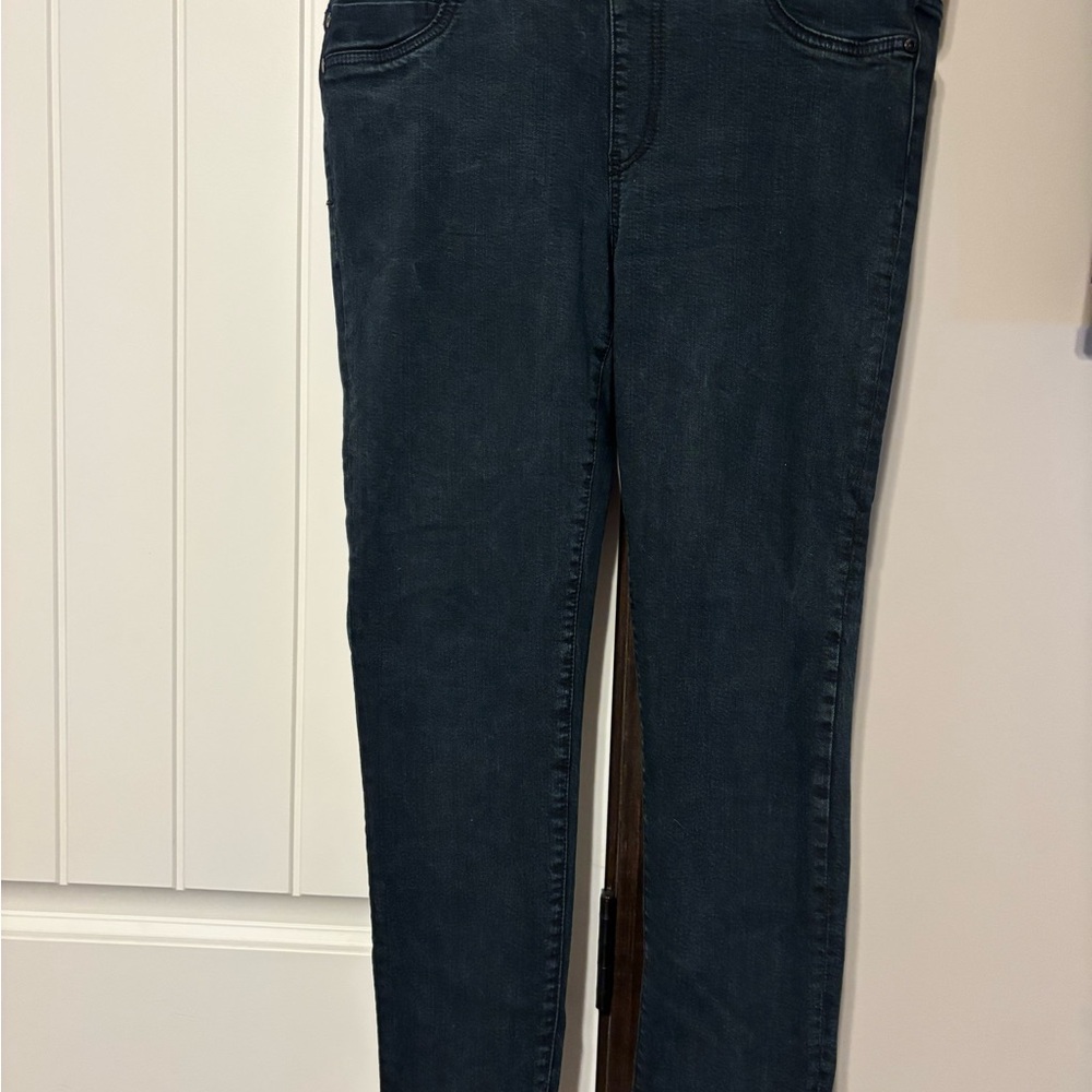 Liverpool Jeans Company Midnight Skinny Jeans